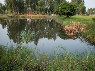 ขั้นตอนที่ 1 การเลือกพื้นที่ปลูก