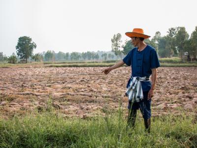 ขั้นตอนที่ 1 การเลือกพื้นที่ปลูก