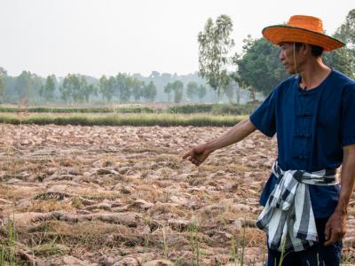 ขั้นตอนที่ 1 การเลือกพื้นที่ปลูก