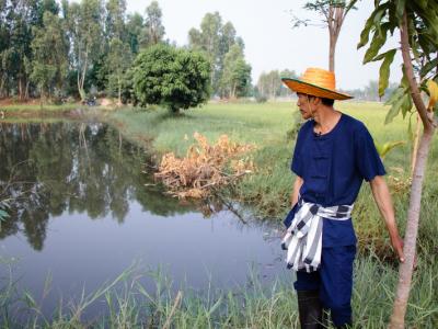 ขั้นตอนที่ 1 การเลือกพื้นที่ปลูก