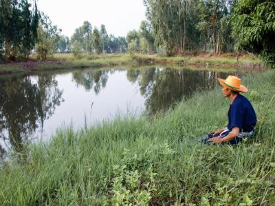 ขั้นตอนที่ 1 การเลือกพื้นที่ปลูก