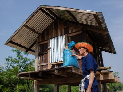 ขั้นตอนที่ 10 การเก็บรักษาผลผลิต