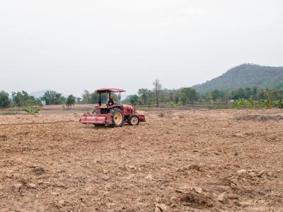 ขั้นตอนที่ 4 การเตรียมดิน