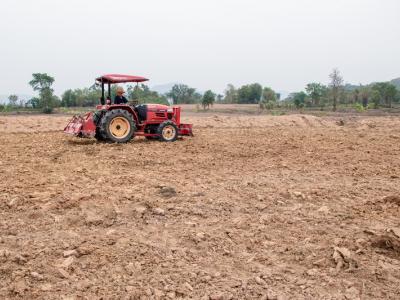 ขั้นตอนที่ 4 การเตรียมดิน