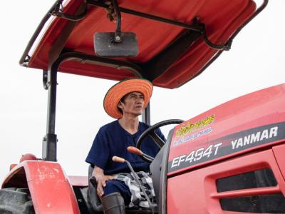 ขั้นตอนที่ 4 การเตรียมดิน