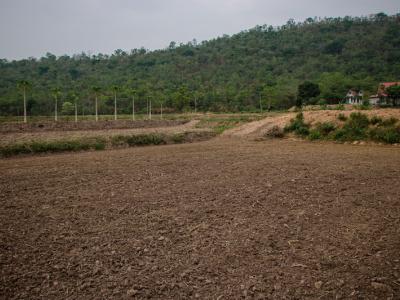 ขั้นตอนที่ 4 การเตรียมดิน