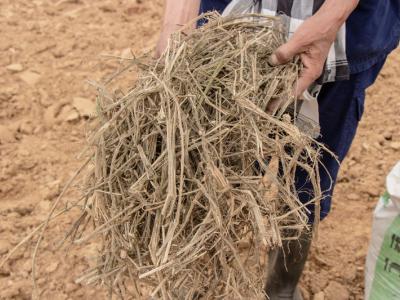 ขั้นตอนที่ 6 การจัดการความอุดมสมบูรณ์ของดิน