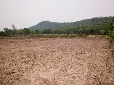 ขั้นตอนที่ 6 การจัดการความอุดมสมบูรณ์ของดิน