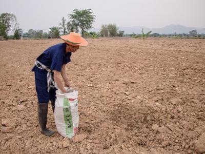 ขั้นตอนที่ 6 การจัดการความอุดมสมบูรณ์ของดิน