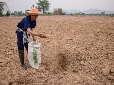 ขั้นตอนที่ 6 การจัดการความอุดมสมบูรณ์ของดิน