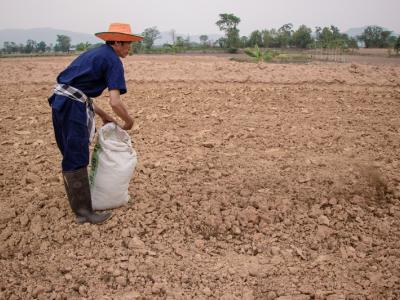 ขั้นตอนที่ 6 การจัดการความอุดมสมบูรณ์ของดิน