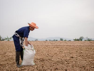 ขั้นตอนที่ 6 การจัดการความอุดมสมบูรณ์ของดิน