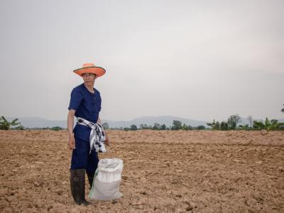 ขั้นตอนที่ 6 การจัดการความอุดมสมบูรณ์ของดิน