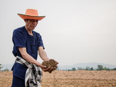 ขั้นตอนที่ 6 การจัดการความอุดมสมบูรณ์ของดิน