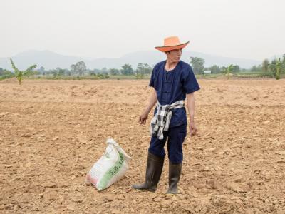 ขั้นตอนที่ 6 การจัดการความอุดมสมบูรณ์ของดิน