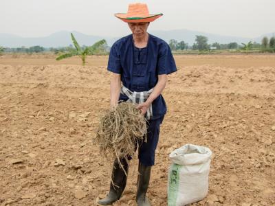 ขั้นตอนที่ 6 การจัดการความอุดมสมบูรณ์ของดิน