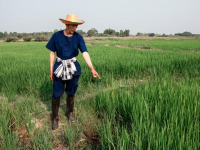 ขั้นตอนที่ 9 การจัดการน้ำ