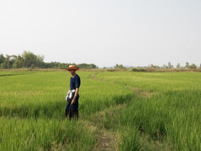 ขั้นตอนที่ 9 การจัดการน้ำ