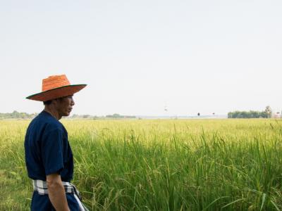 ขั้นตอนที่ 9 การจัดการน้ำ