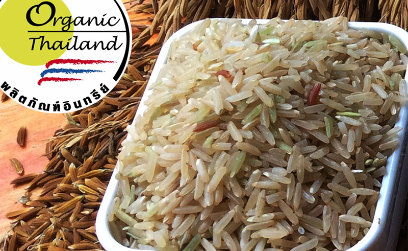 ข้าวกล้องผกาอำปึล