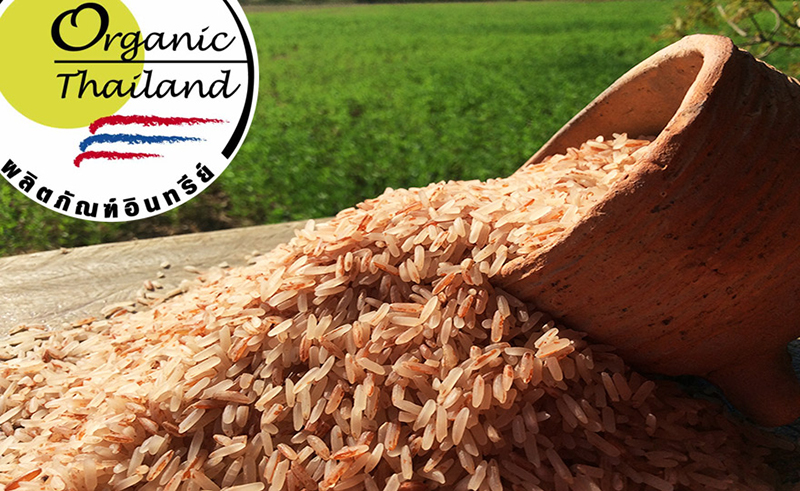 ข้าวซ้อมมือ มะลิโกเมนสุรินทร์